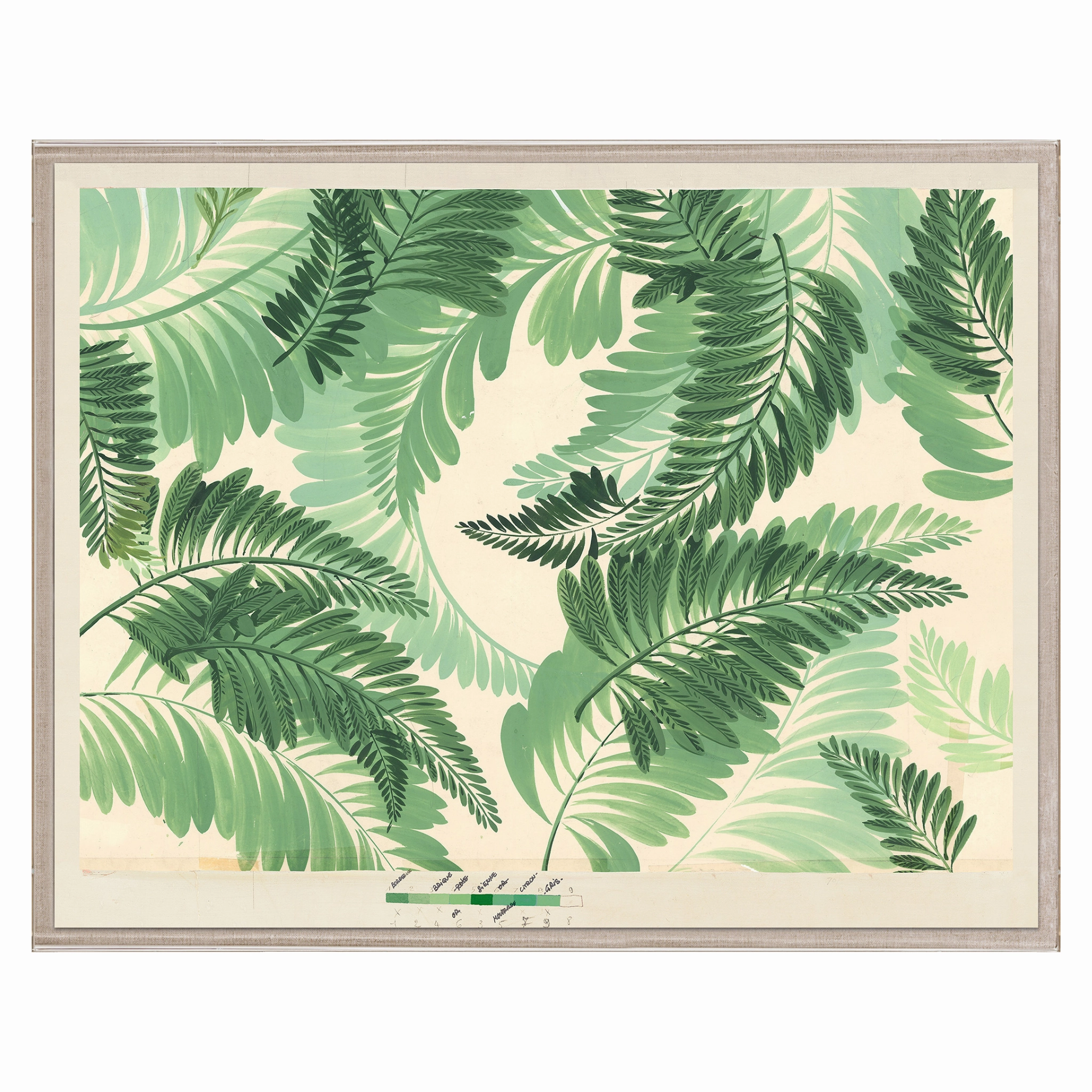 Frederick Steiner Archive, Dancing Ferns 