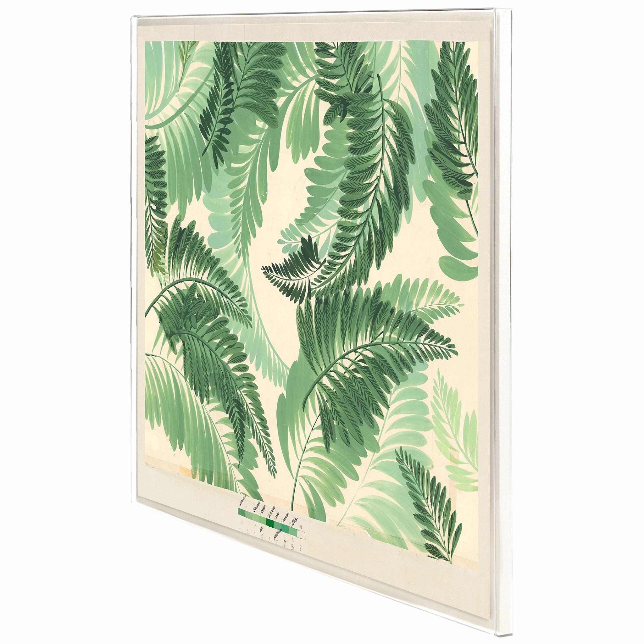 Frederick Steiner Archive, Dancing Ferns