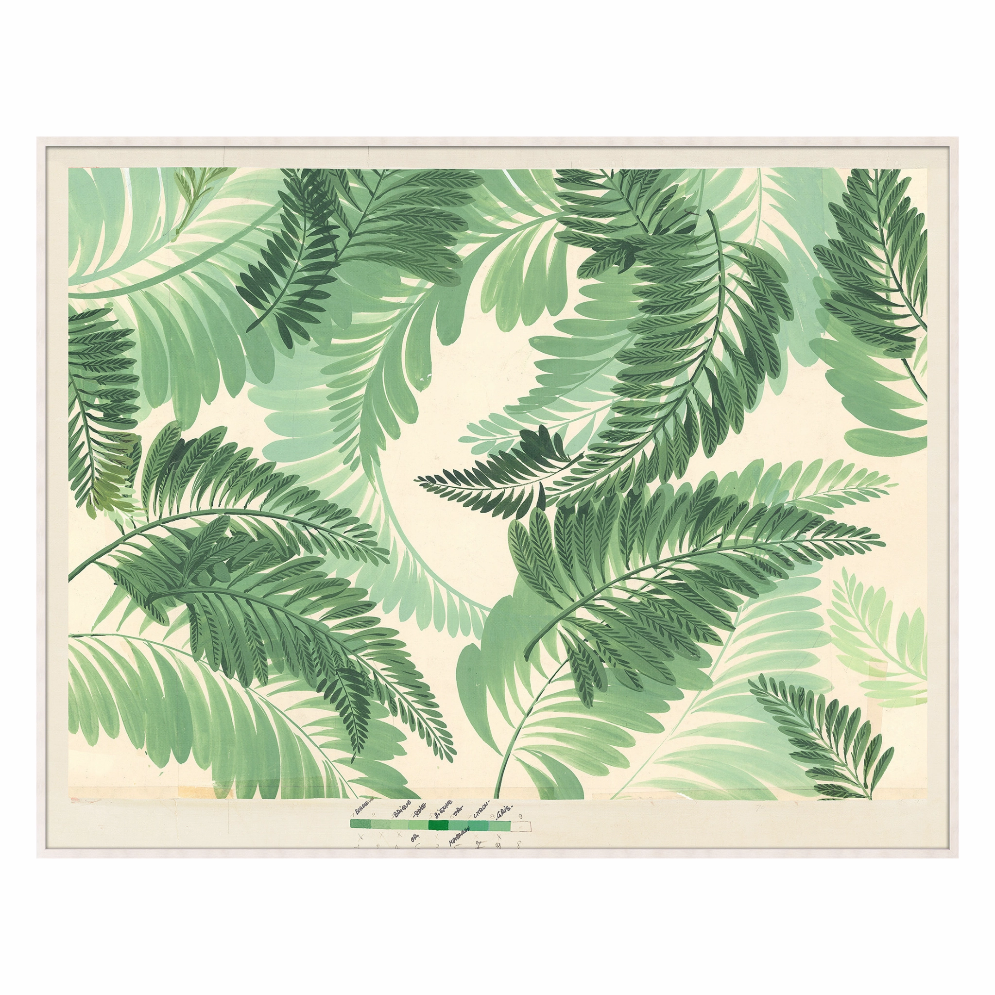 Frederick Steiner Archive, Dancing Ferns