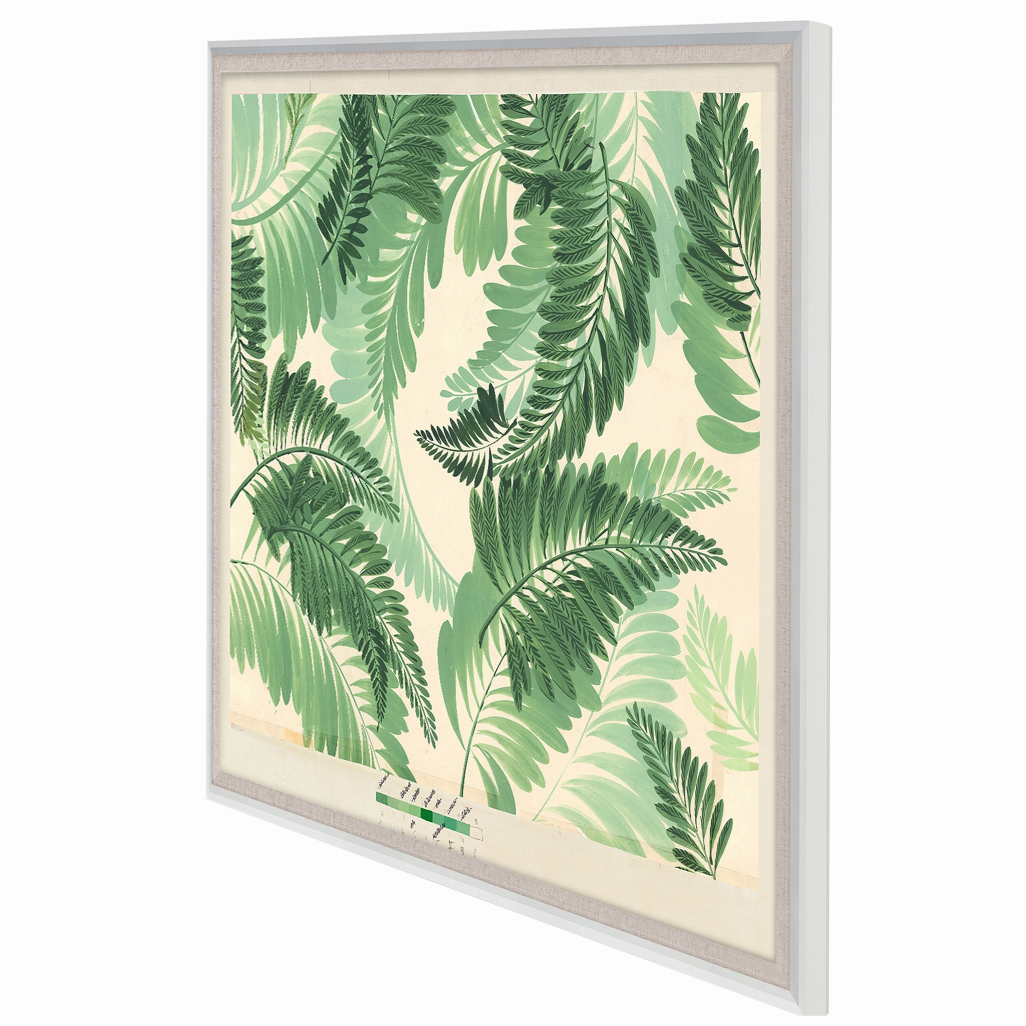 Frederick Steiner Archive, Dancing Ferns