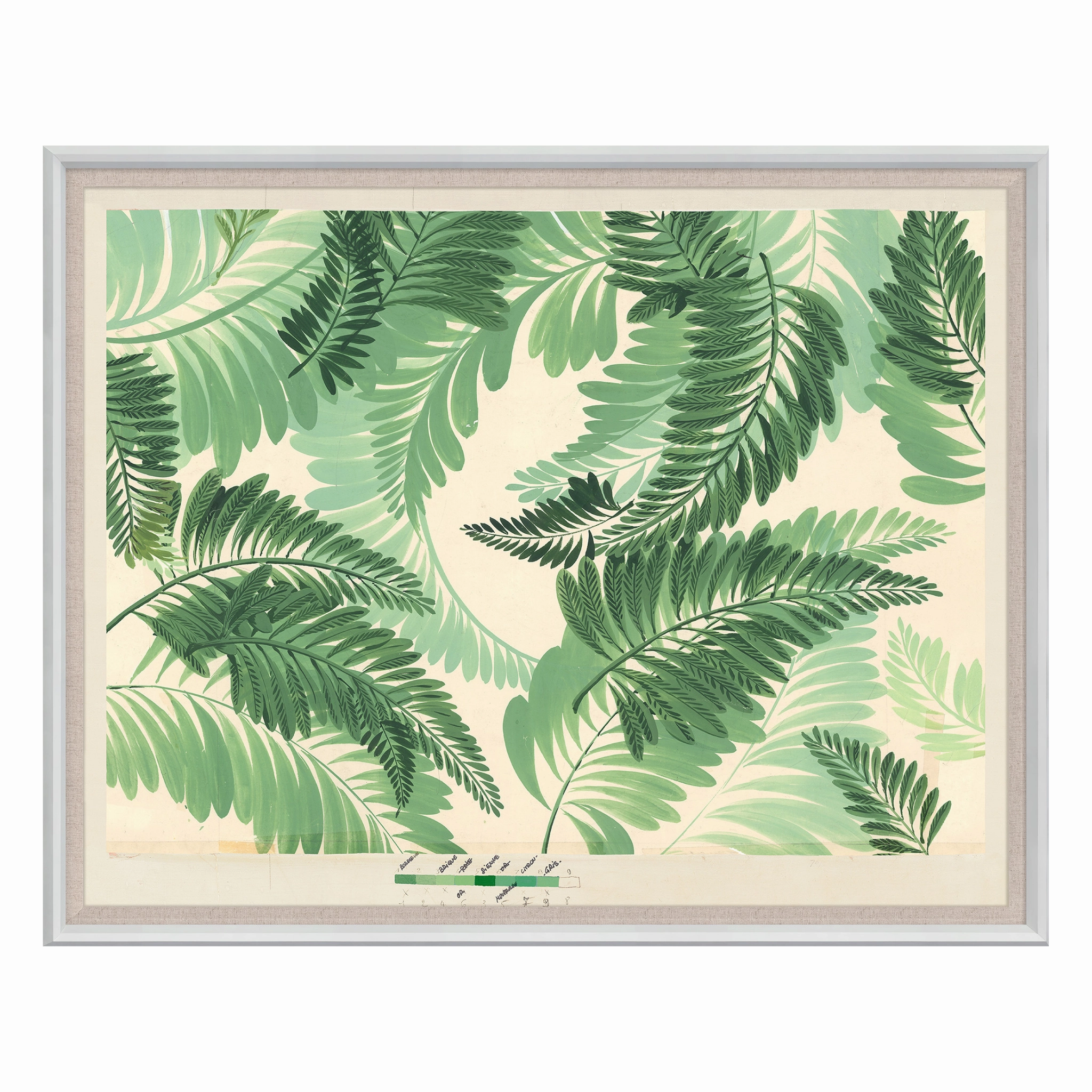 Frederick Steiner Archive, Dancing Ferns