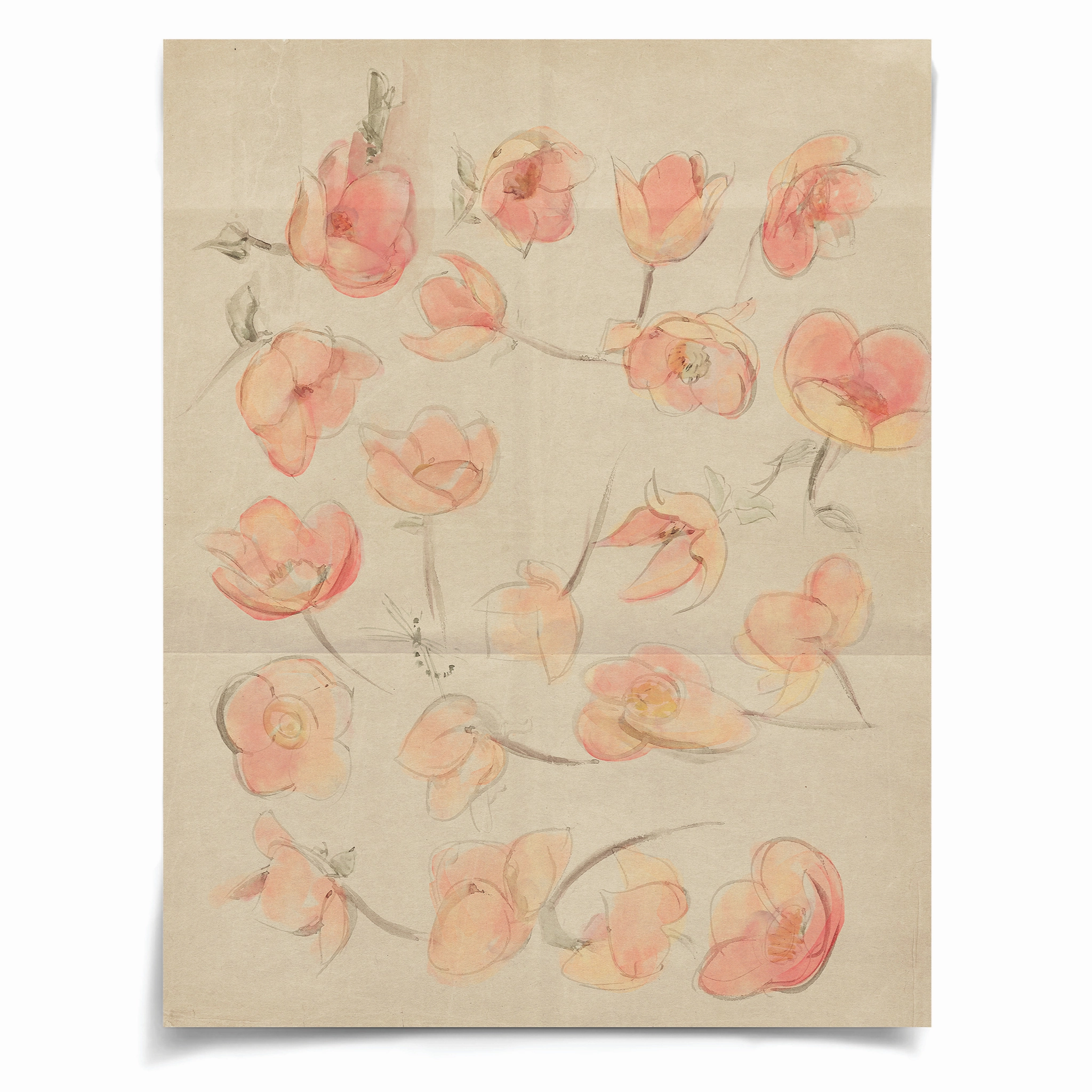 Frederick Steiner Archive, Flower Dance