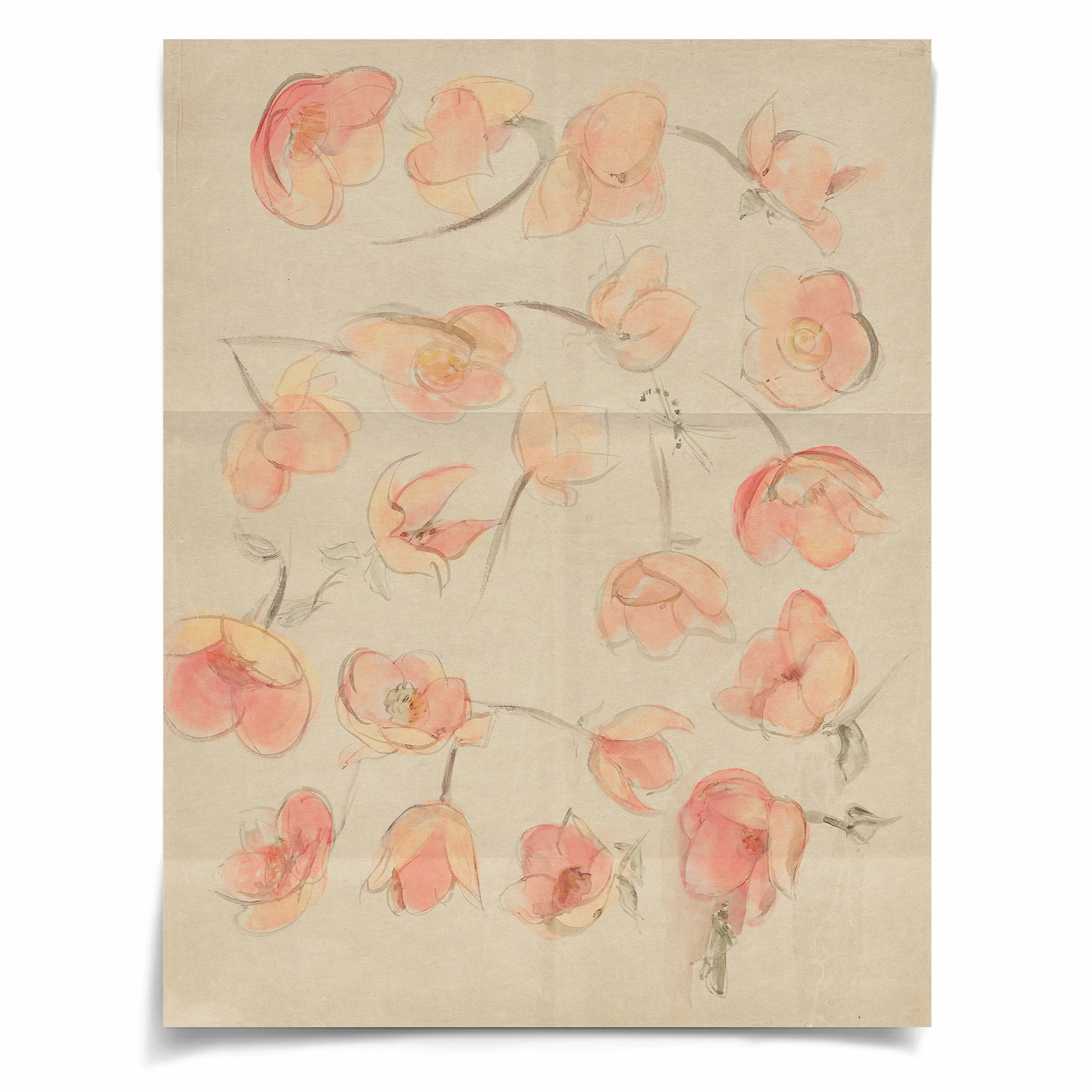 Frederick Steiner Archive, Flower Dance