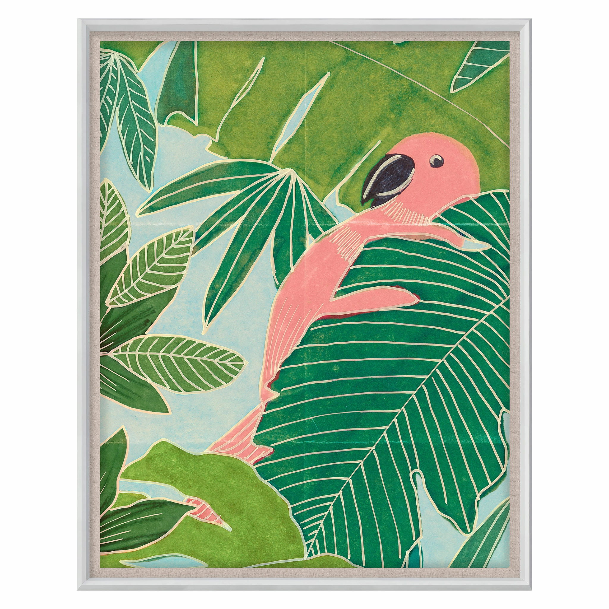 Frederick Steiner Archive, Parrot Palms