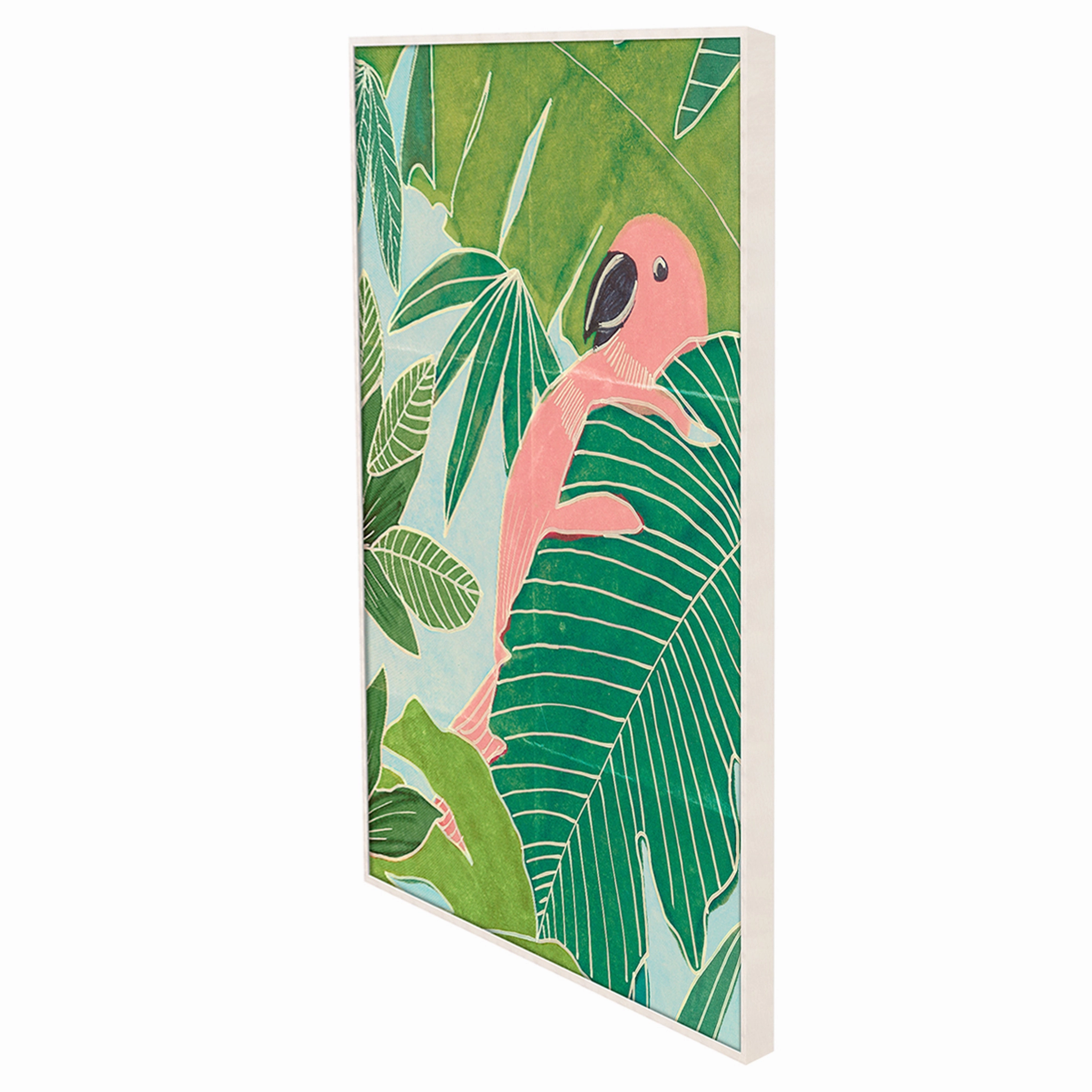 Frederick Steiner Archive, Parrot Palms