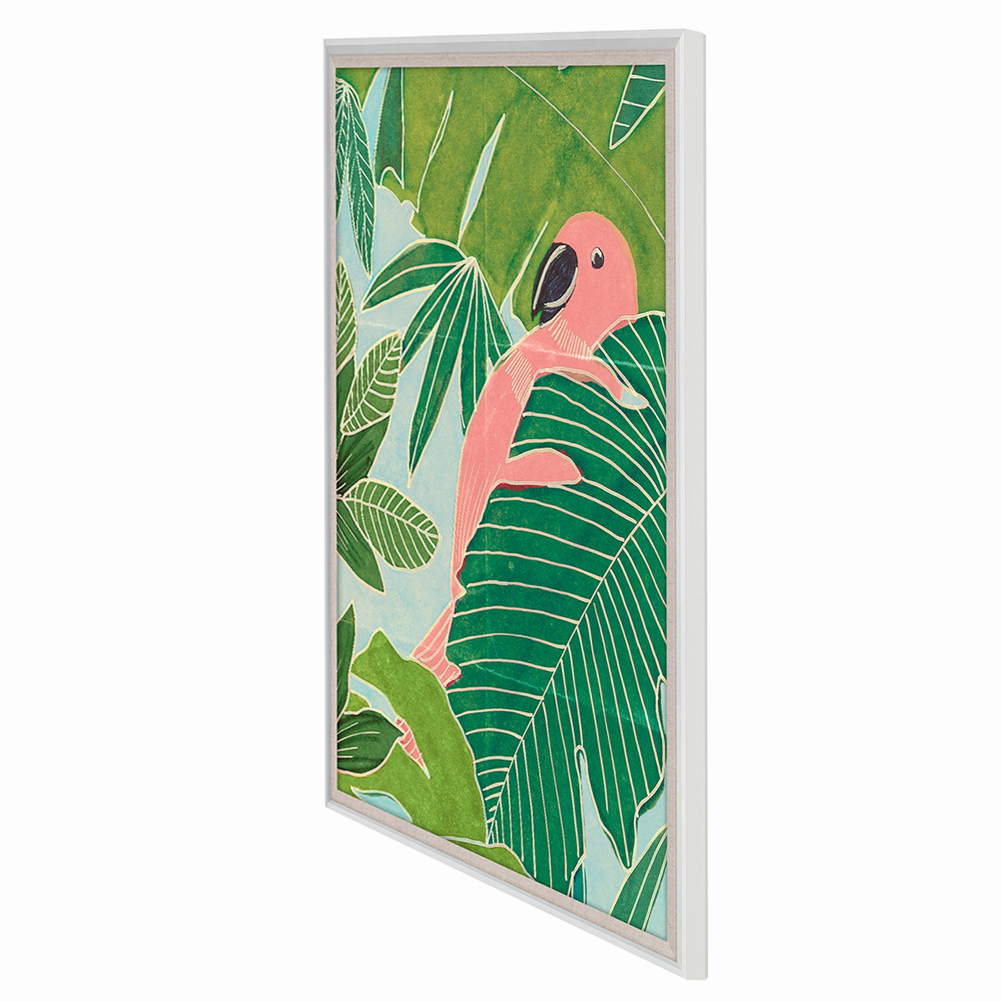 Frederick Steiner Archive, Parrot Palms