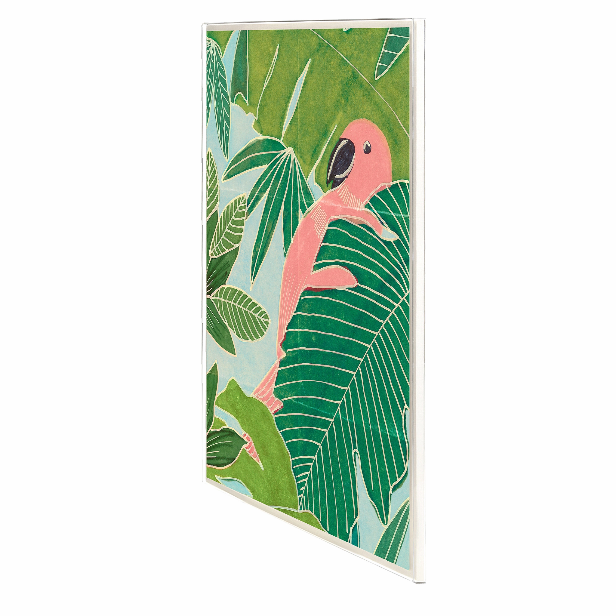 Frederick Steiner Archive, Parrot Palms