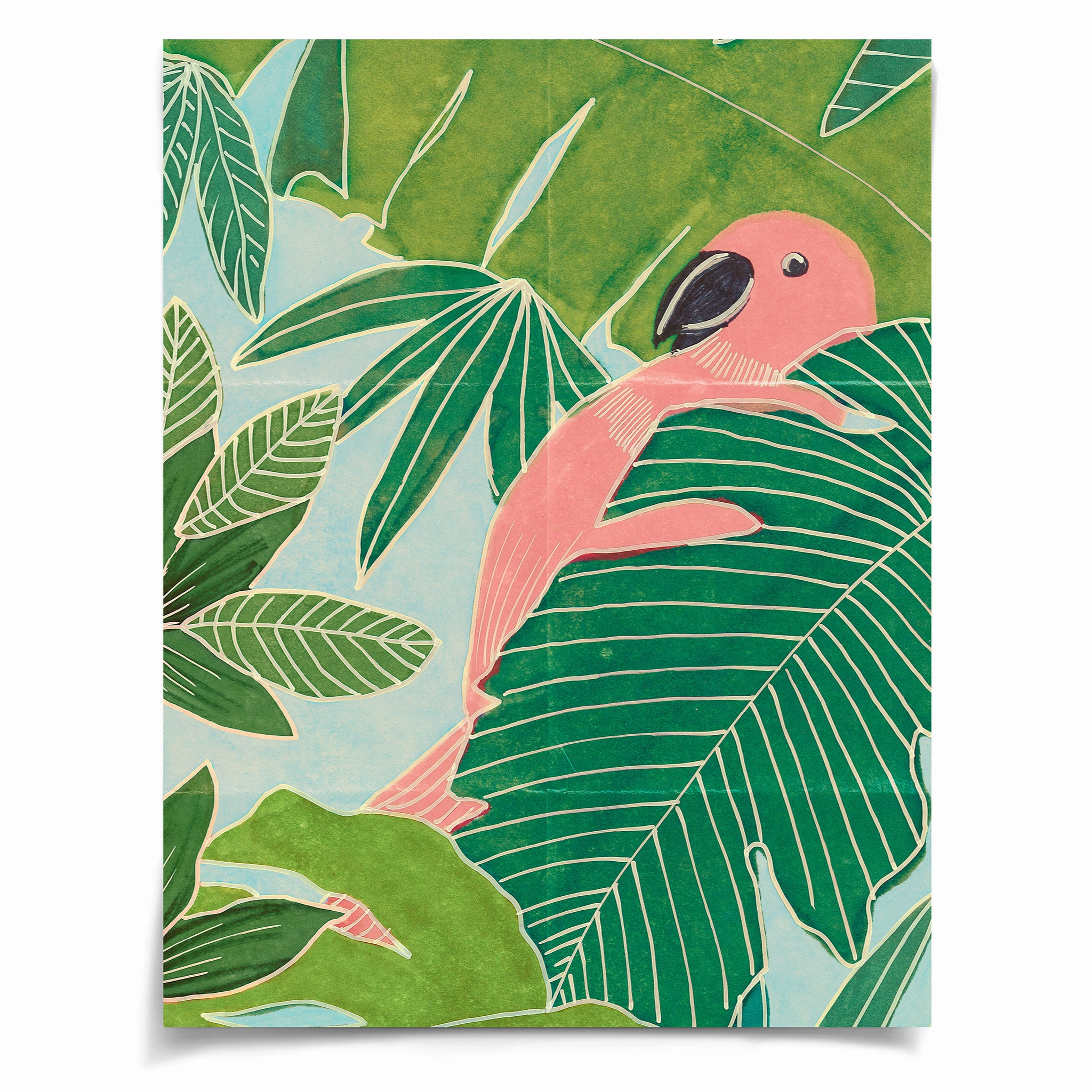 Frederick Steiner Archive, Parrot Palms
