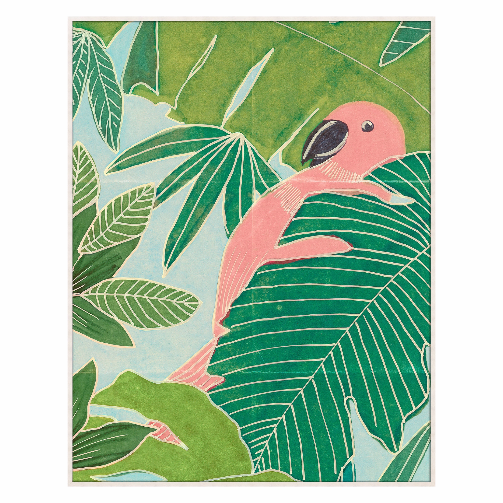 Frederick Steiner Archive, Parrot Palms