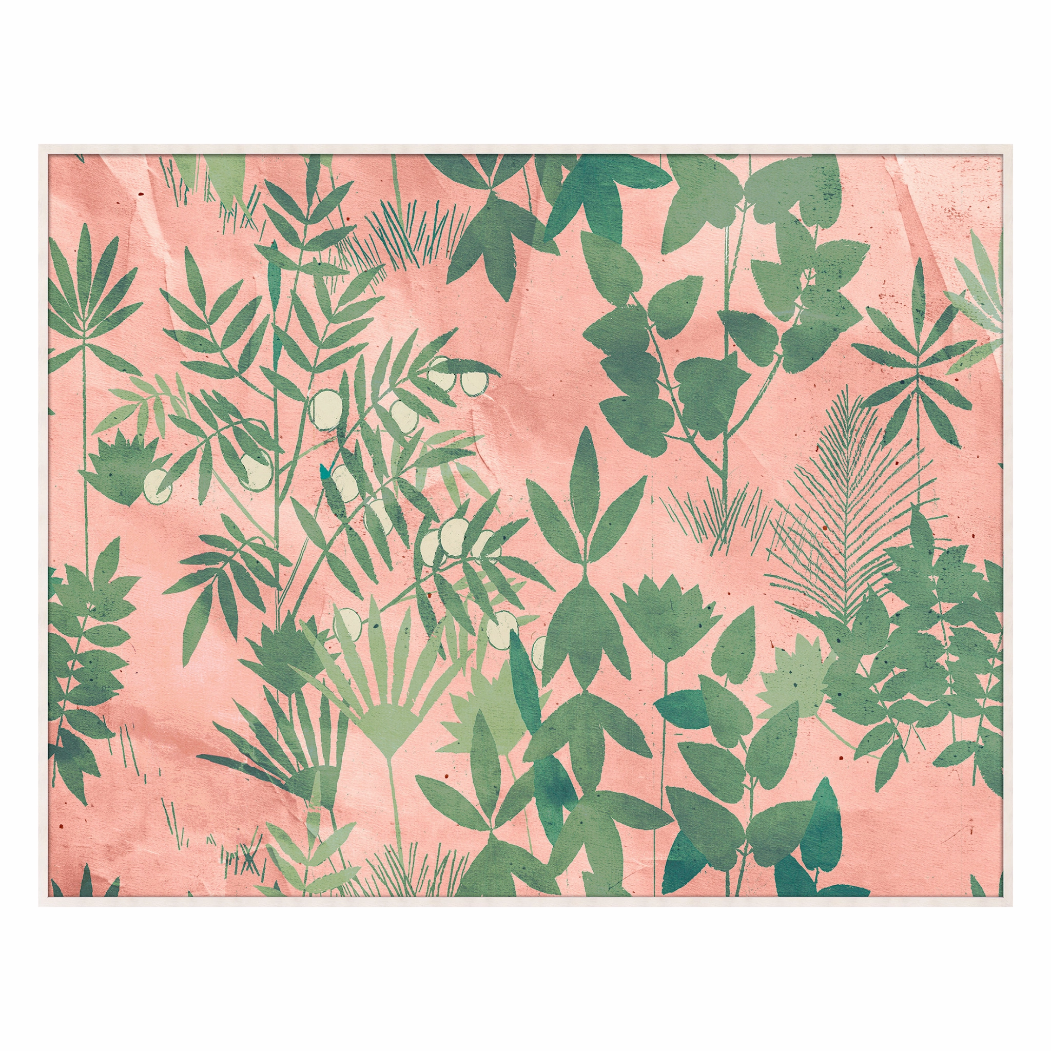 Frederick Steiner Archive, Pink Sky Green Leaves