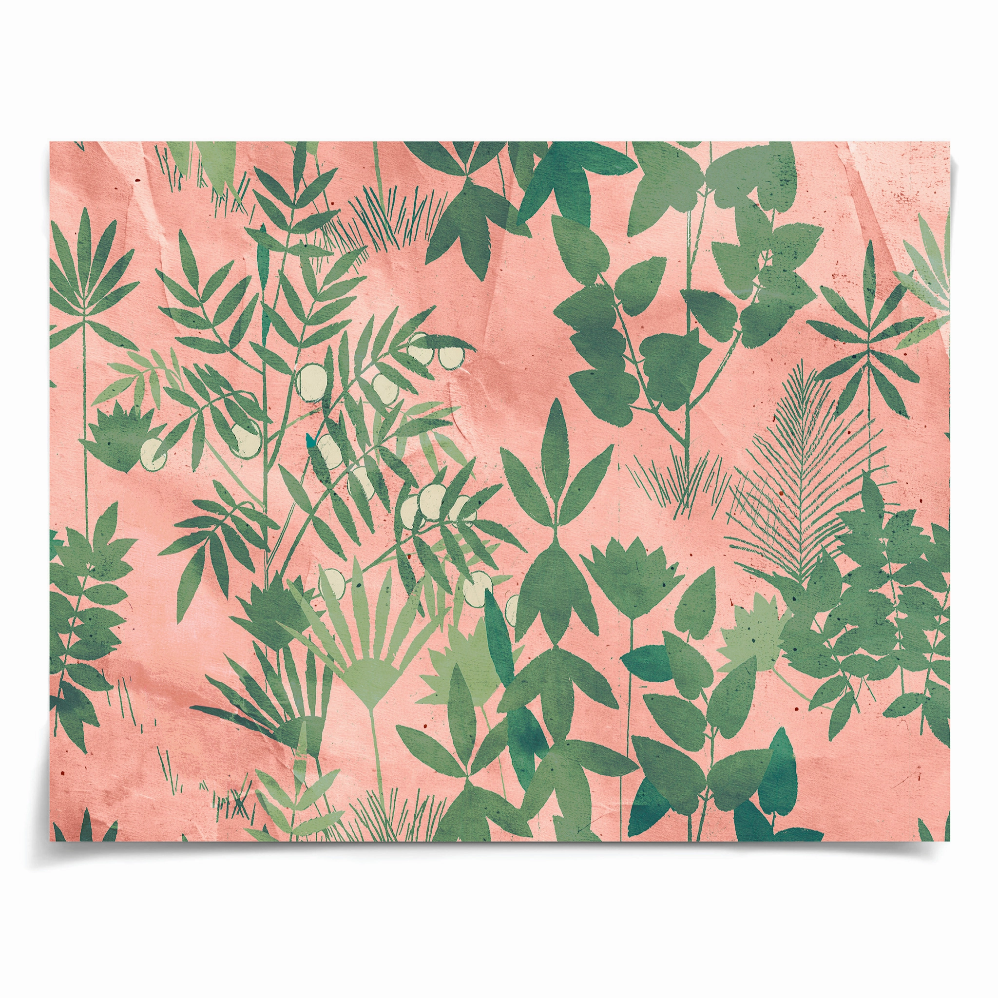 Frederick Steiner Archive, Pink Sky Green Leaves