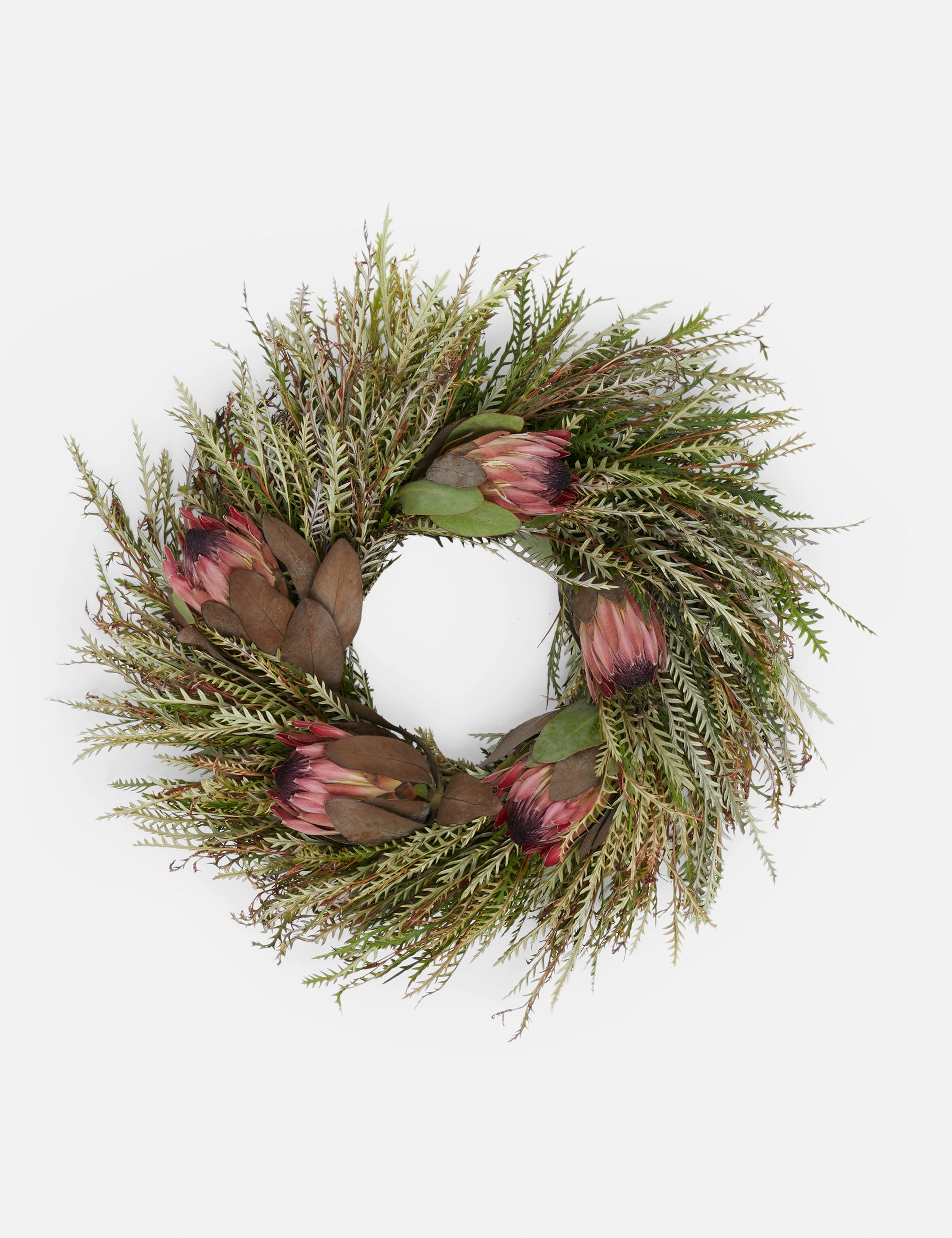 Fresh Handmade Grevillea and Pink Ice Protea Wreath 