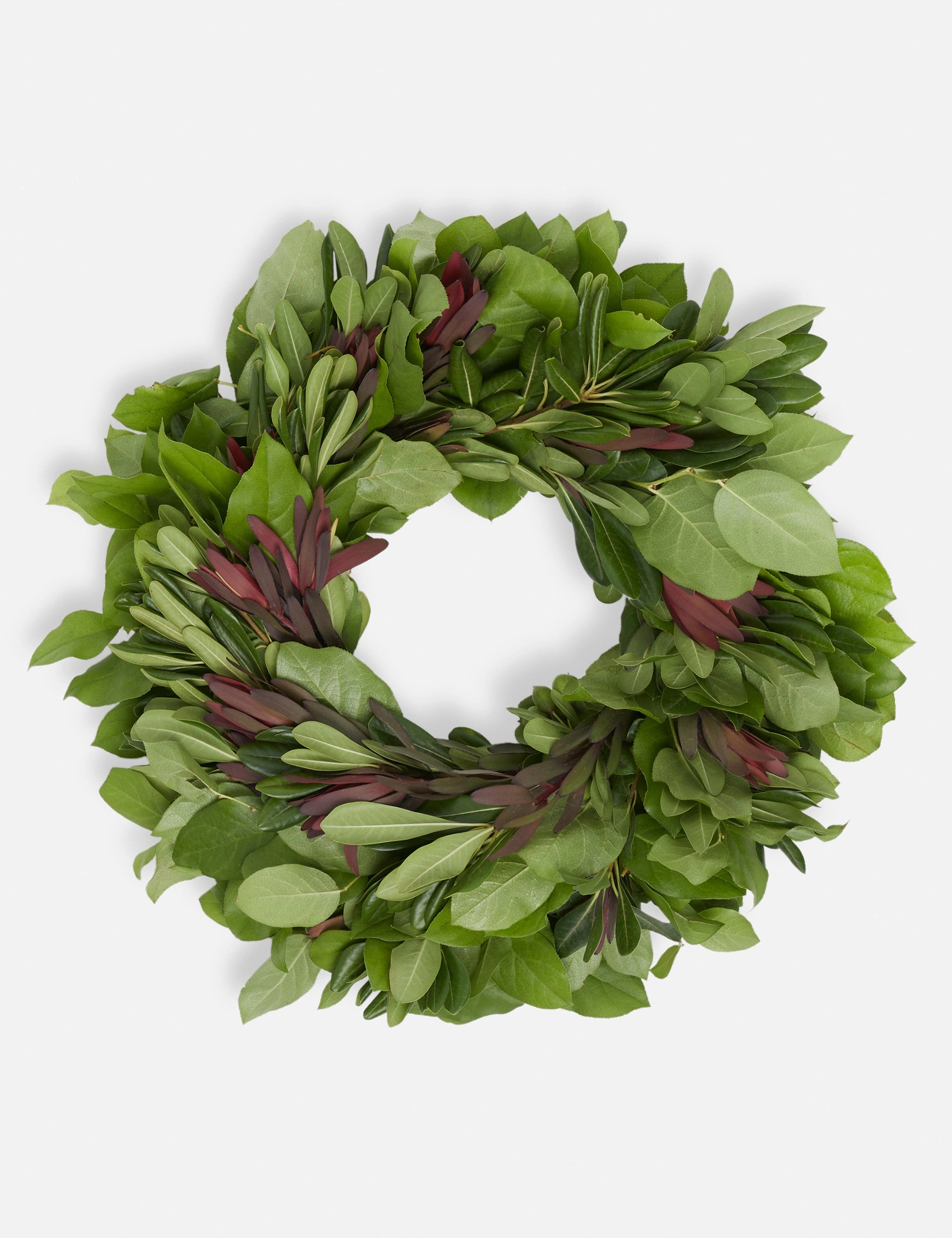 Fresh Handmade Lemon Leaf, Safari Sunset and Pitt Wreath 