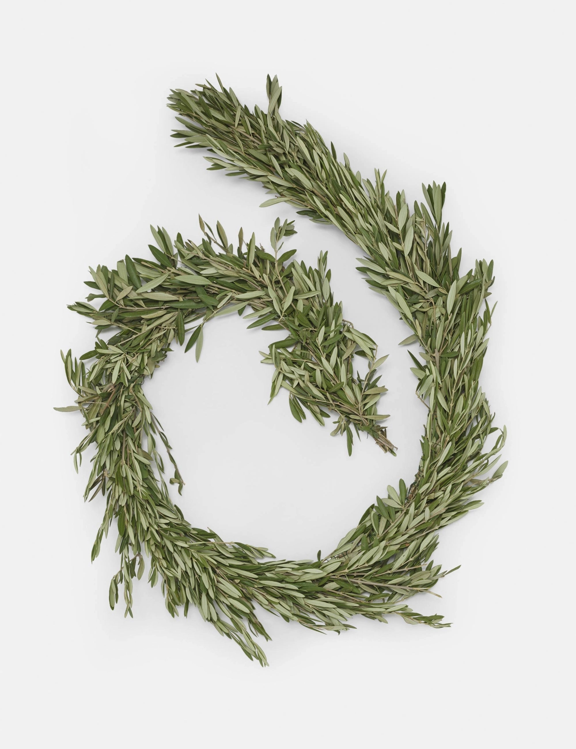 Fresh Handmade Olive Branch Garland 