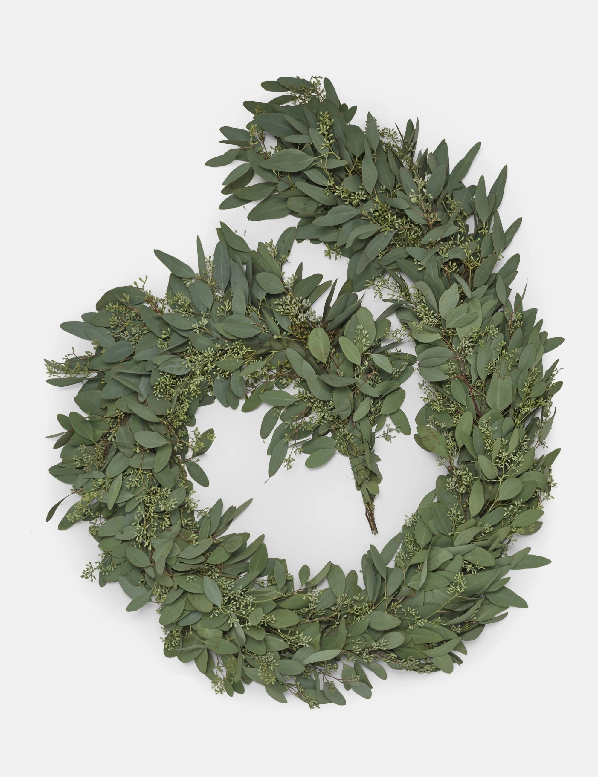 Fresh Handmade Seeded Eucalyptus Garland 
