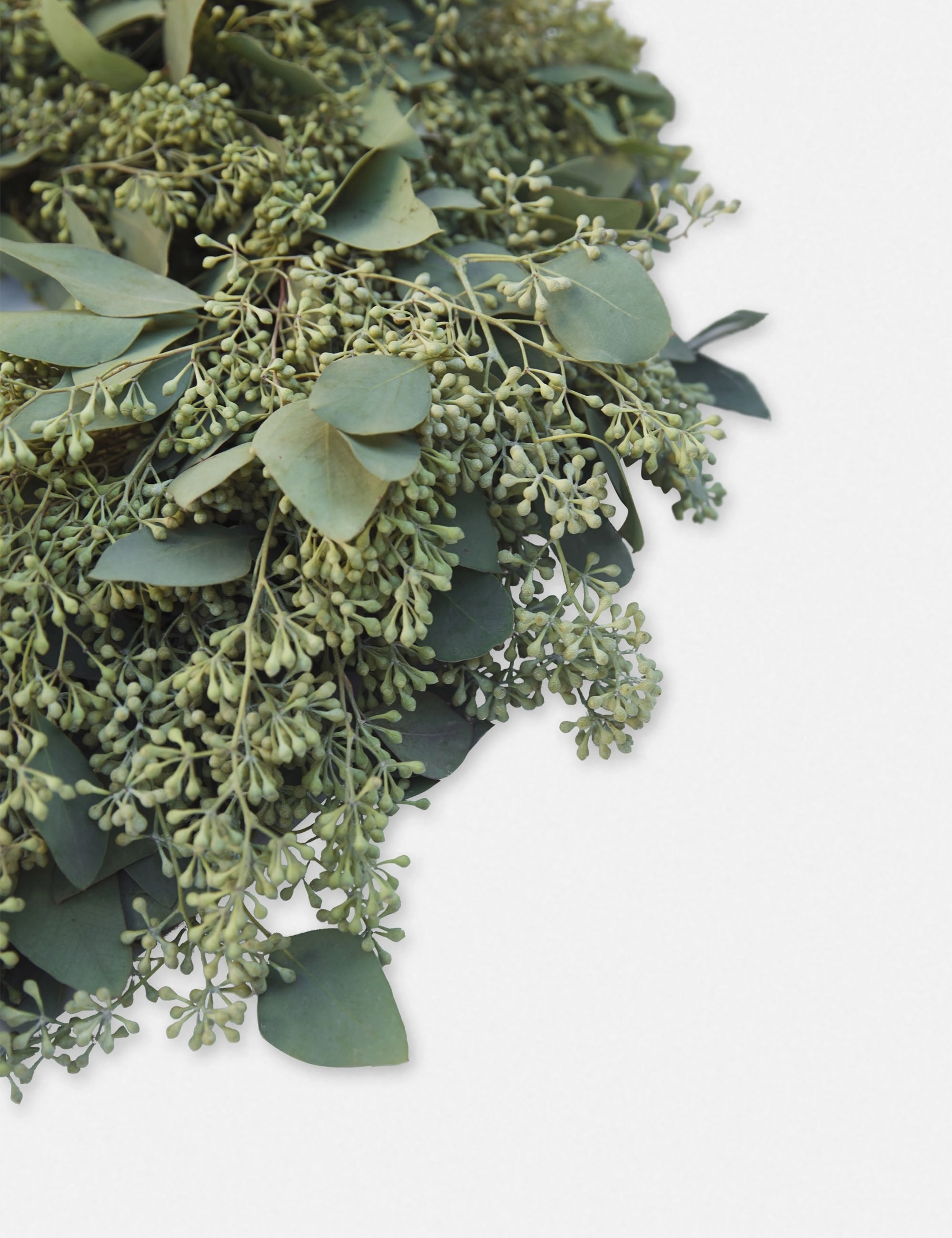 Fresh Handmade Seeded Eucalyptus Wreath