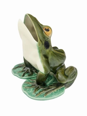 Frogs - Large Frog with Open Mouth 