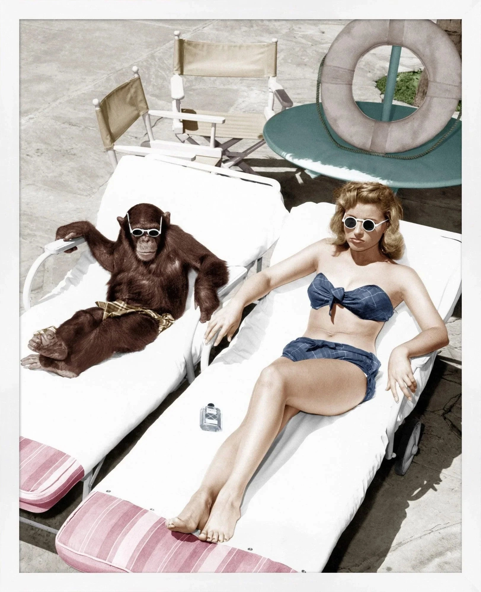Gigis Day Off Chimpanzee and Woman Framed Photography 