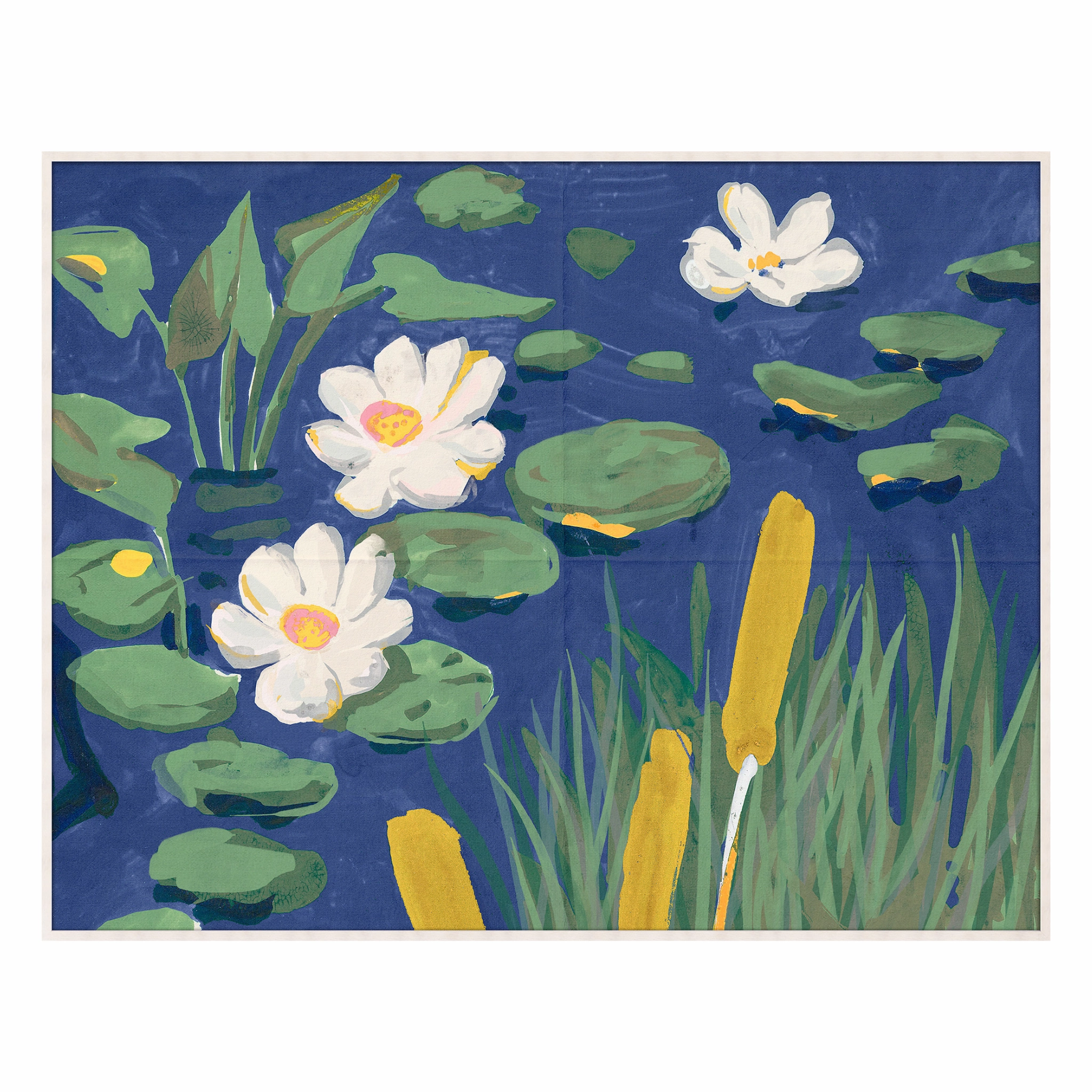 Giorgio Taroni Archive, Lily Pond