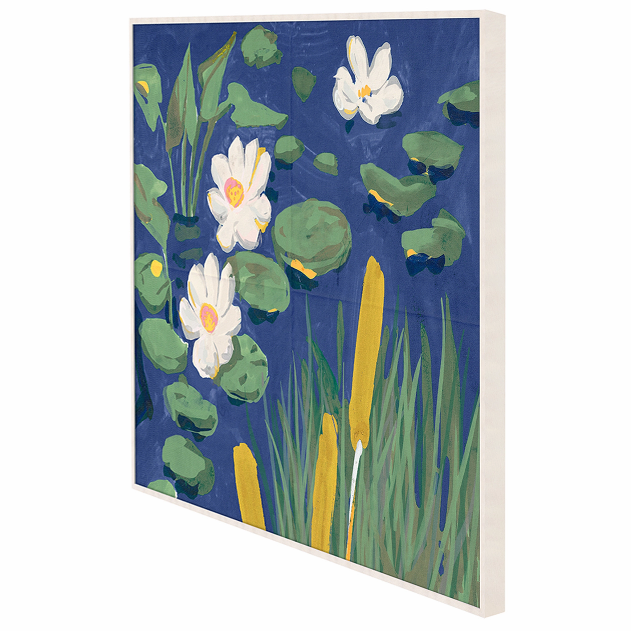 Giorgio Taroni Archive, Lily Pond