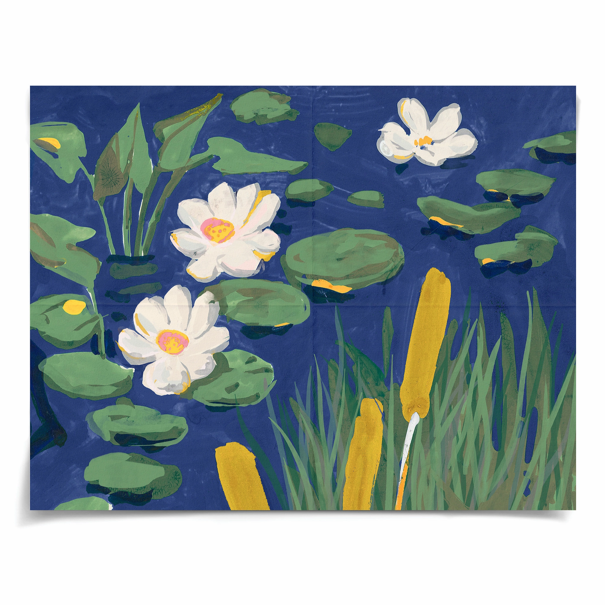 Giorgio Taroni Archive, Lily Pond