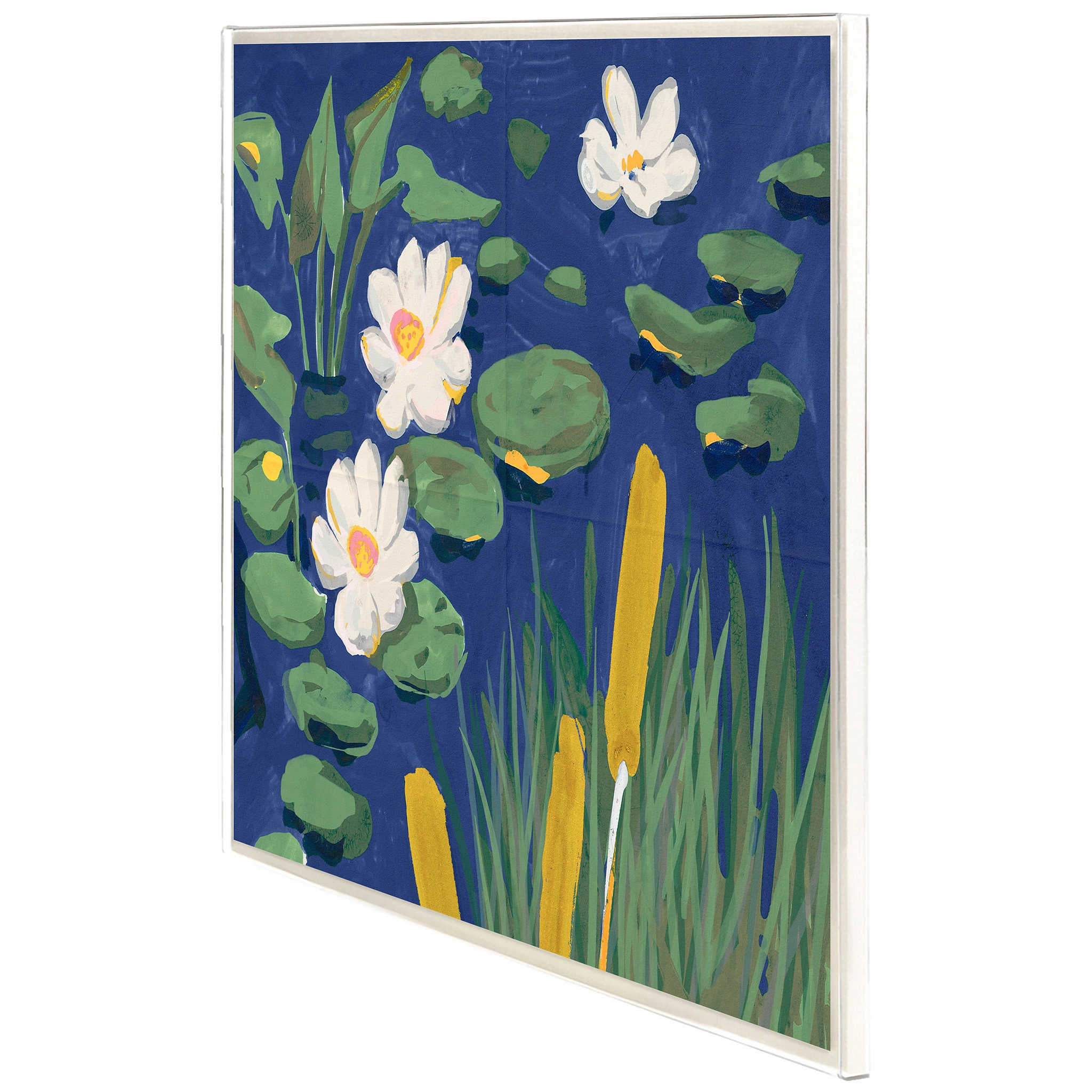 Giorgio Taroni Archive, Lily Pond