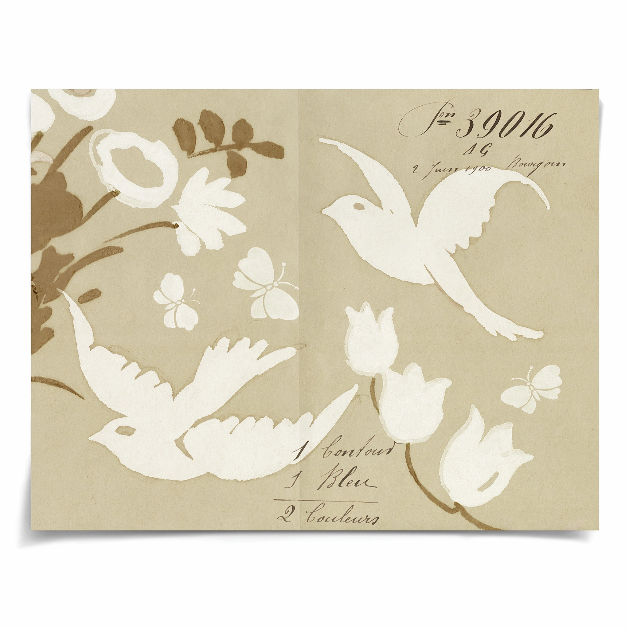 Giorgio Taroni Archive, Sky Birds