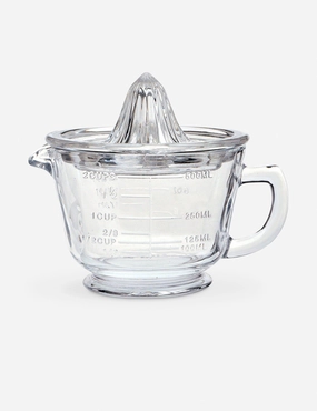 Glass Citrus Juicer 