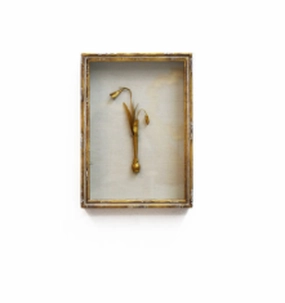 Gold Framed Botanical (Lily, Autumn Crocus, Bell Flower, or Snow Drop) 