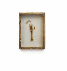 Gold Framed Botanical (Lily, Autumn Crocus, Bell Flower, or Snow Drop) 