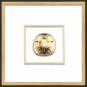 Gold Sand Dollar Coastal Beach Wall Art in Black & Gold Frame 
