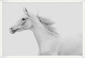 Gray Strides Framed Wall Art 