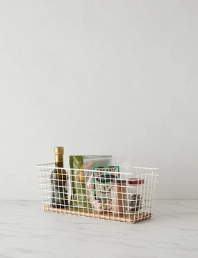 Grid Basket by NEAT Method 