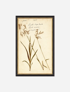 Herbarium E Wall Art 