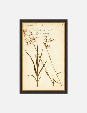 Herbarium E Wall Art 