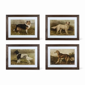 Heritage Hounds Framed Dog Wall Art Print Set 