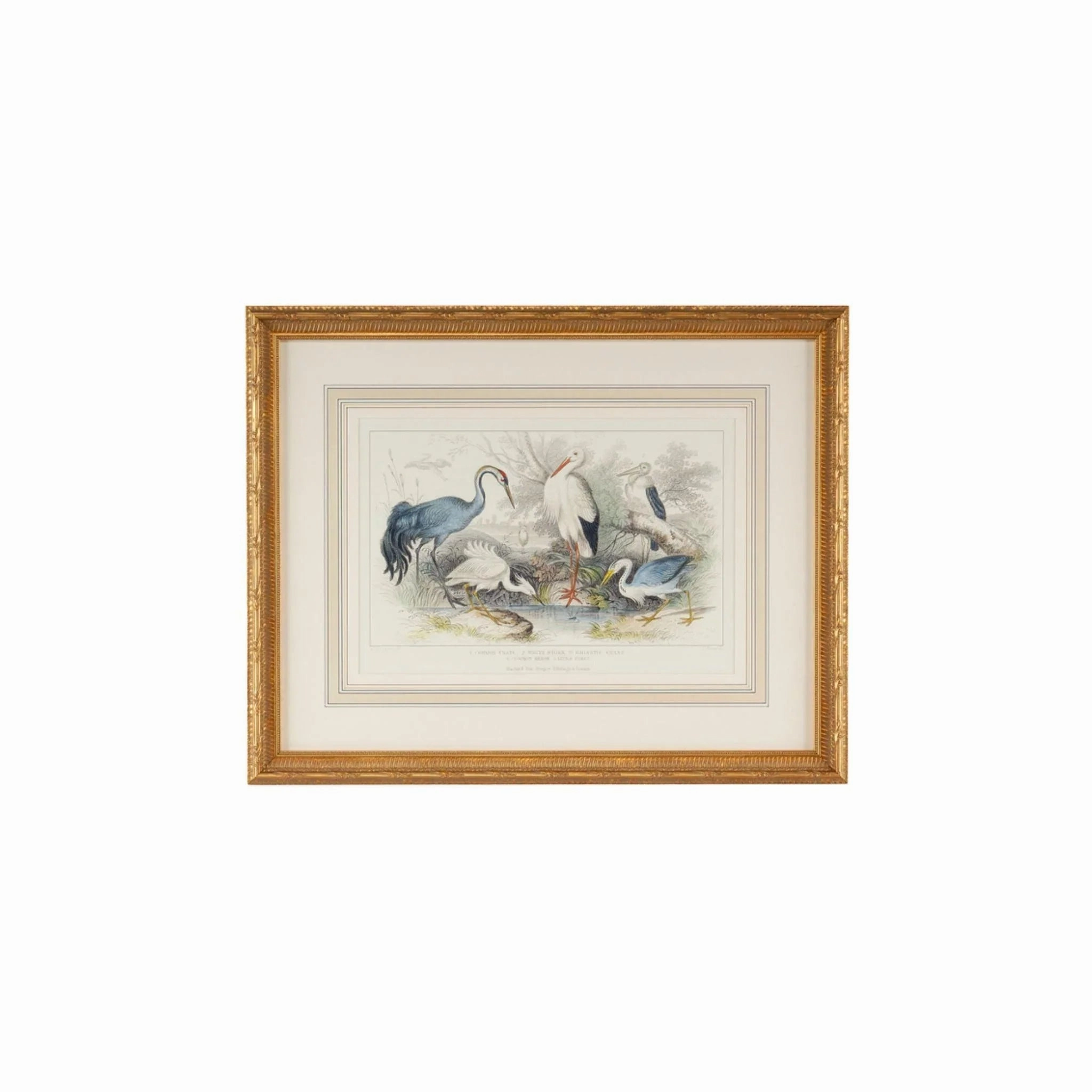 Herons, Eagrets, & Cranes Framed Wall Art 