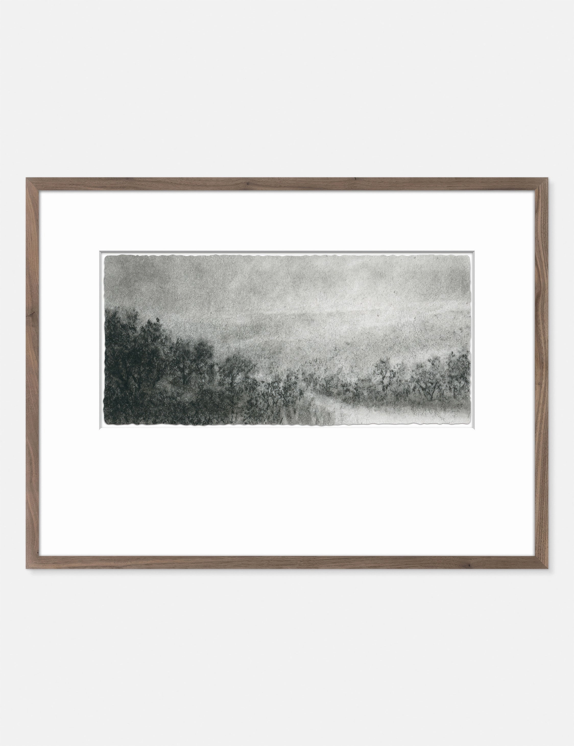 Hill Country Study I Wall Art by Aileen Fitzgerald