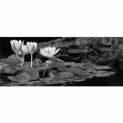 Hughes Water Garden 