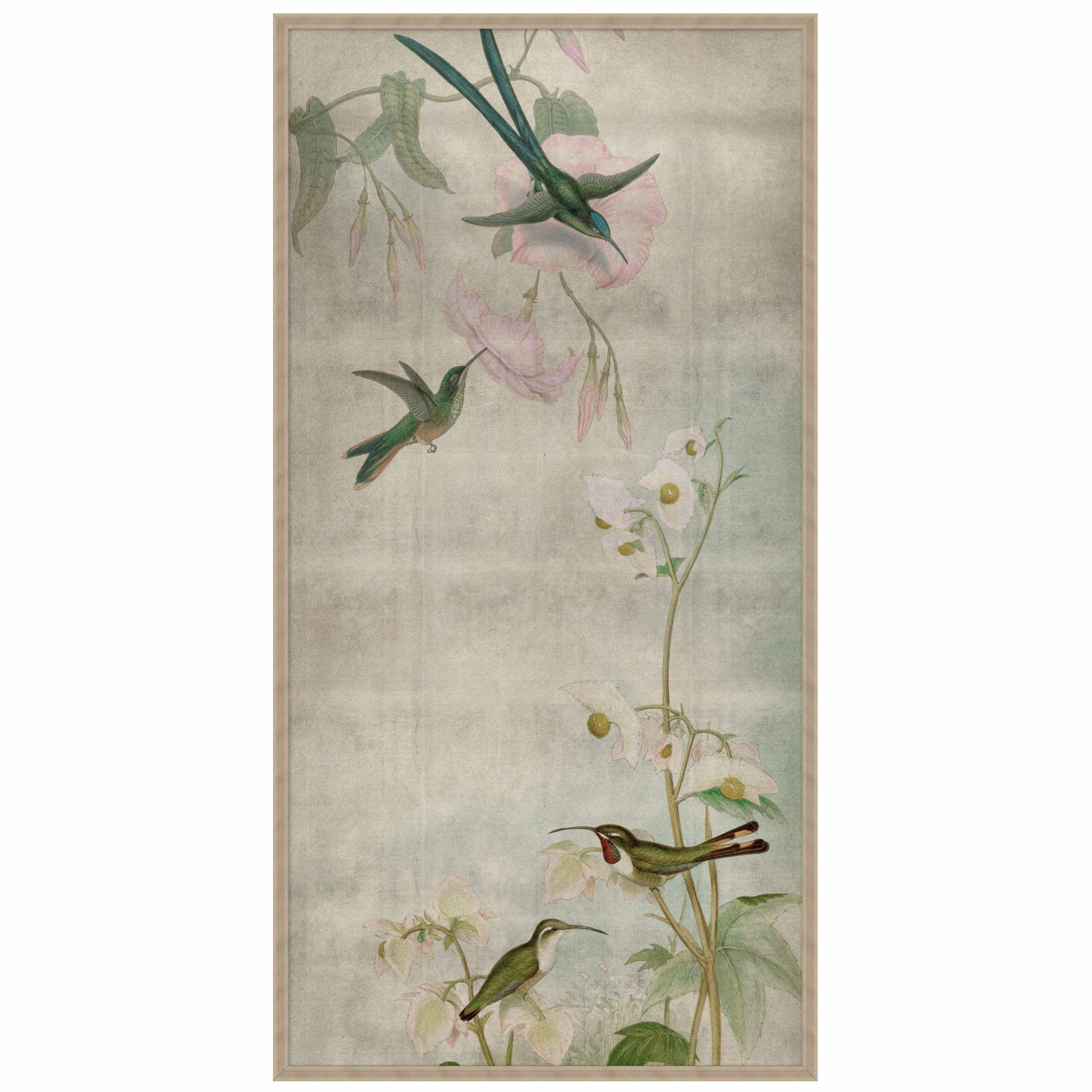 Hummingbird Dances 1 Framed Wall Art 