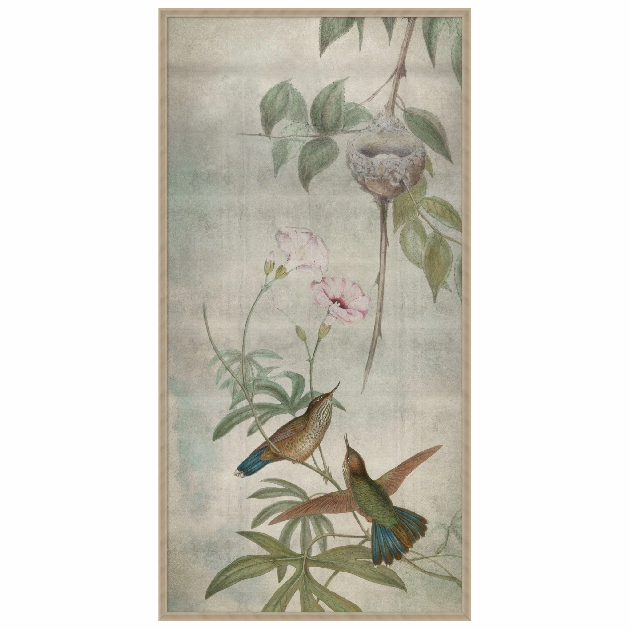 Hummingbird Dances 3 Framed Wall Art 