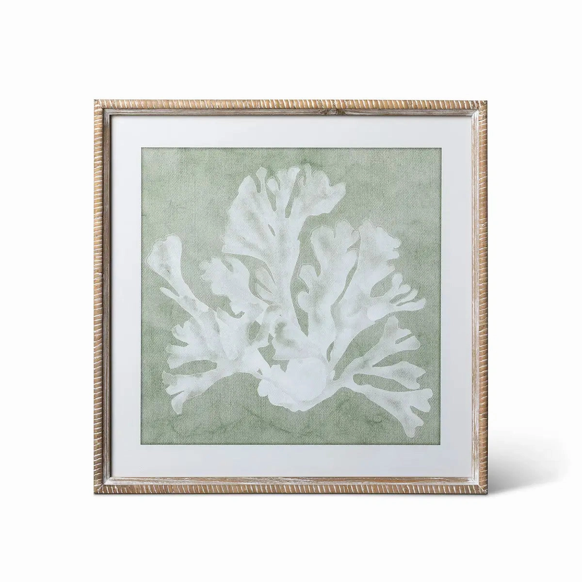 Isla Framed Coral Wall Art Print Set