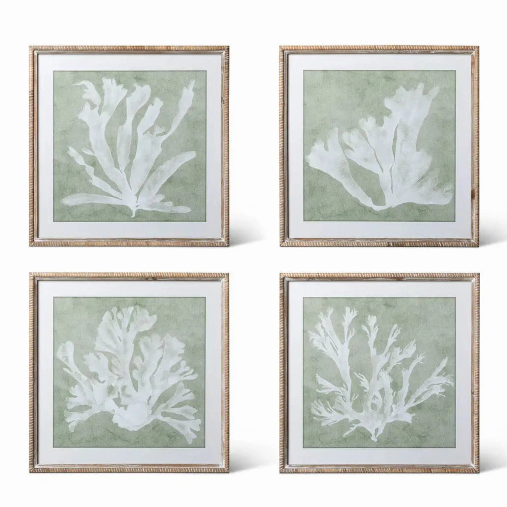 Isla Framed Coral Wall Art Print Set 