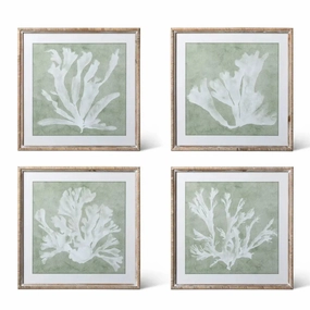 Isla Framed Coral Wall Art Print Set 