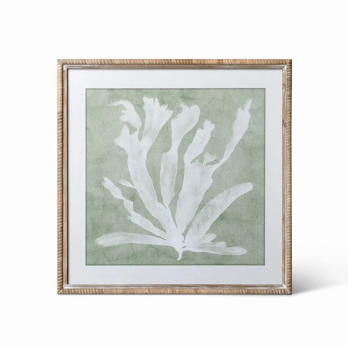 Isla Framed Coral Wall Art Print Set