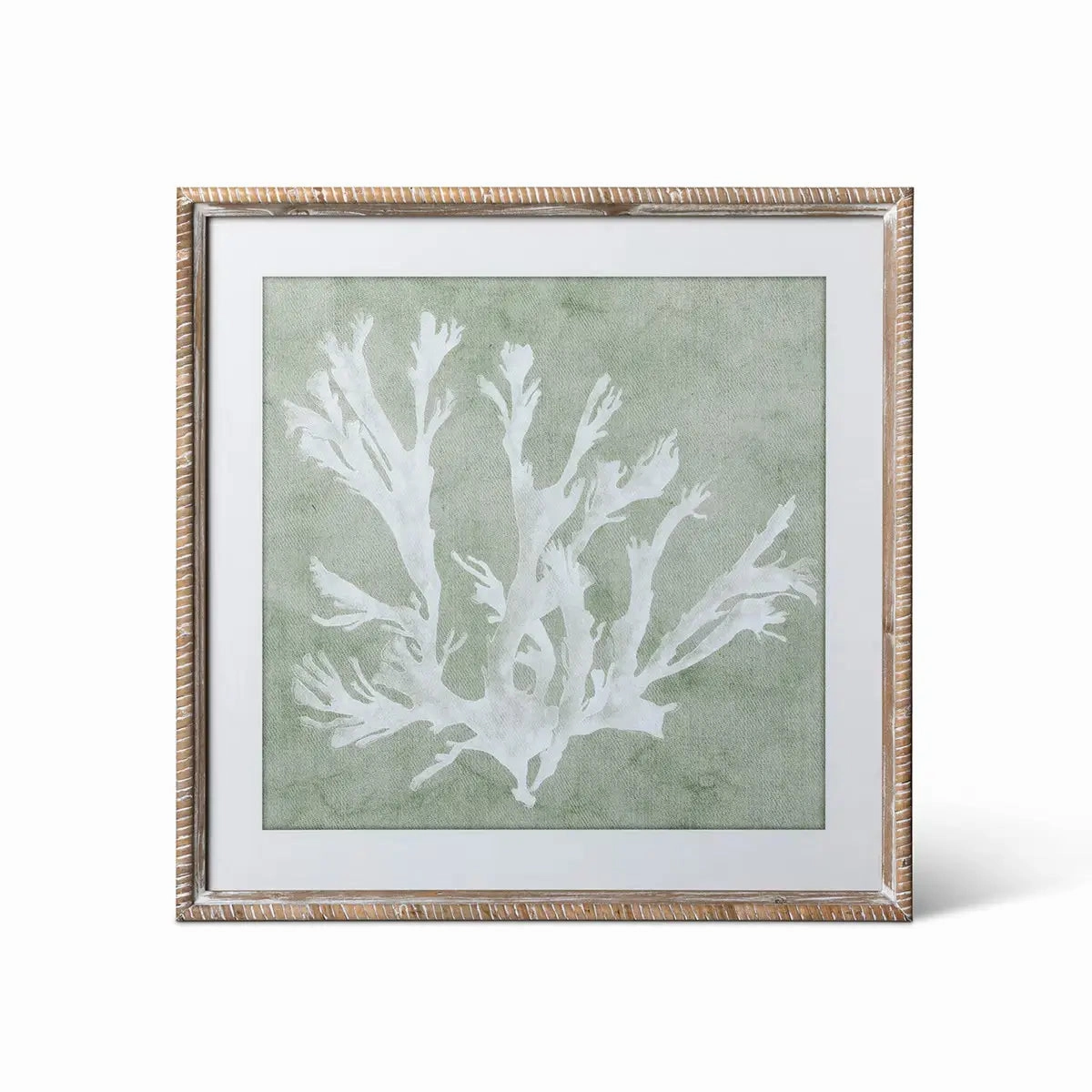 Isla Framed Coral Wall Art Print Set