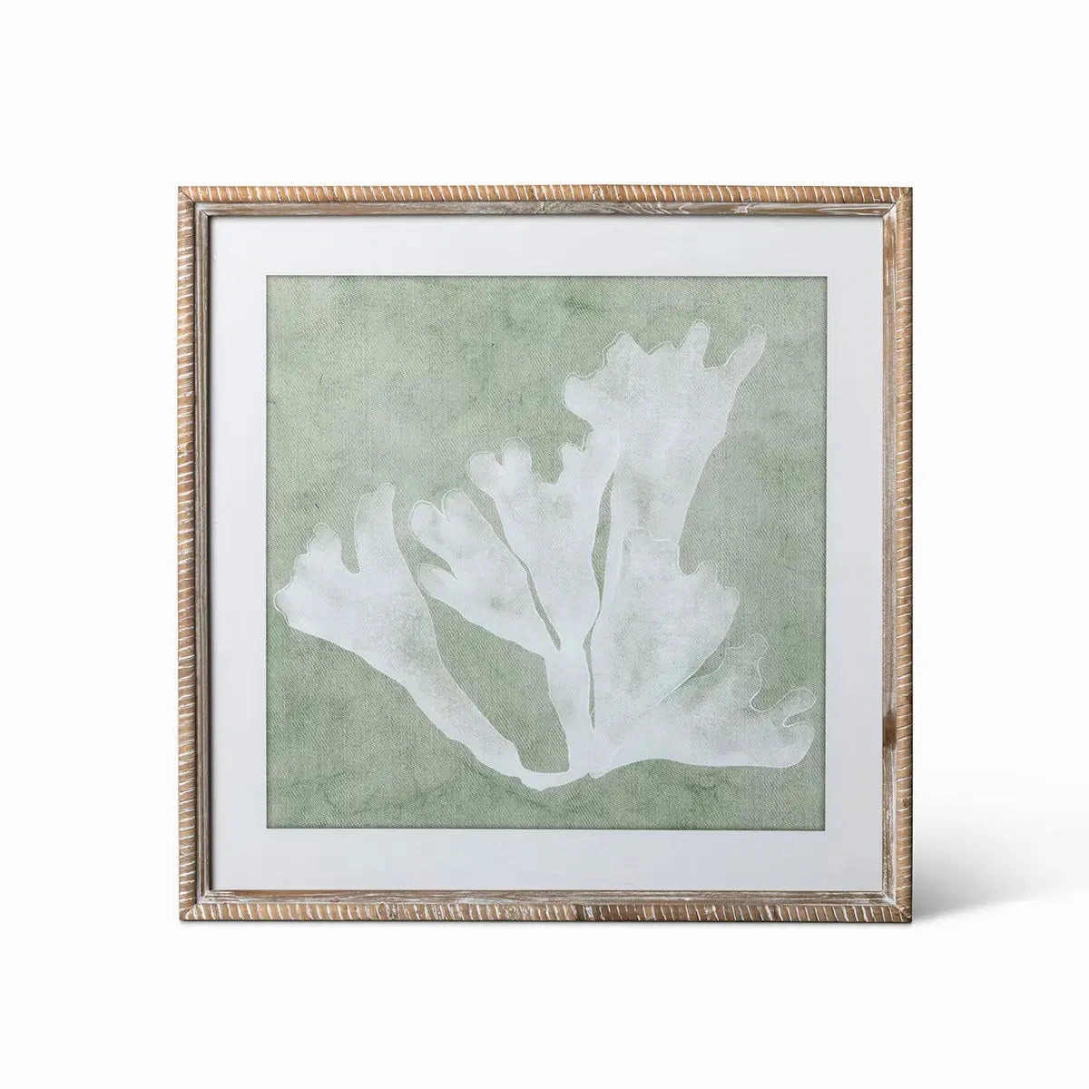 Isla Framed Coral Wall Art Print Set