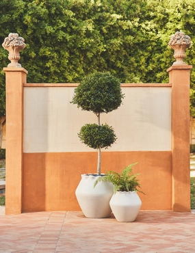 Jaziel Indoor/Outdoor Planter 