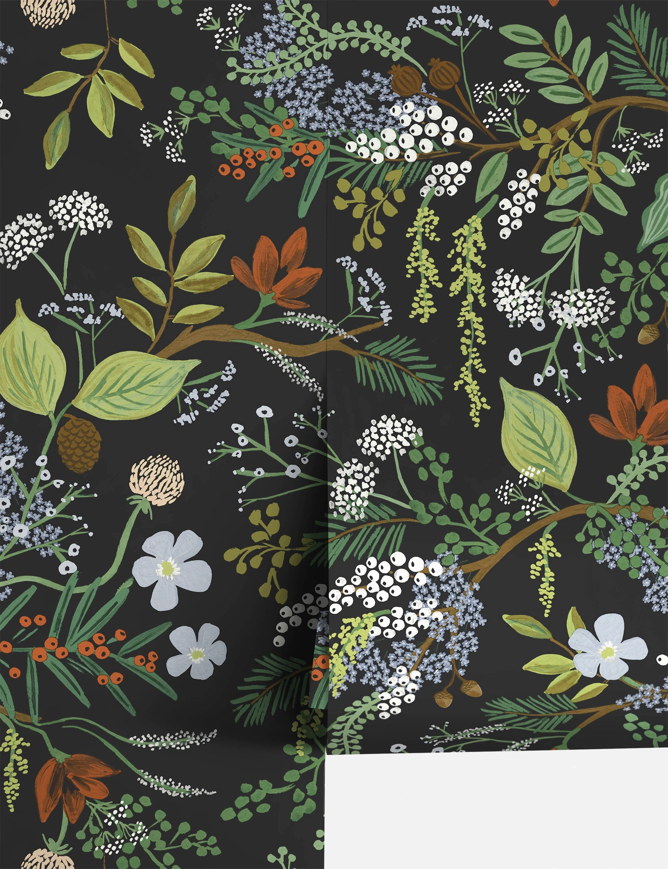 Juniper Forest Premium Peel   Stick Wallpaper by Rifle Paper Co.