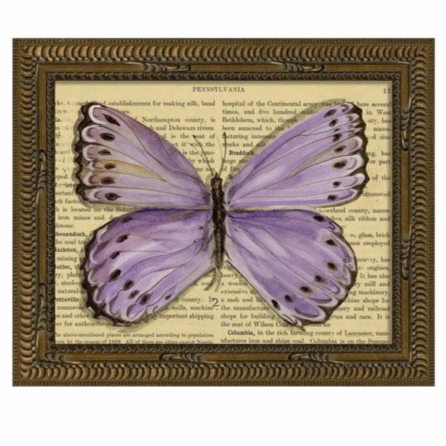 KG Butterfly Framed Art Print 